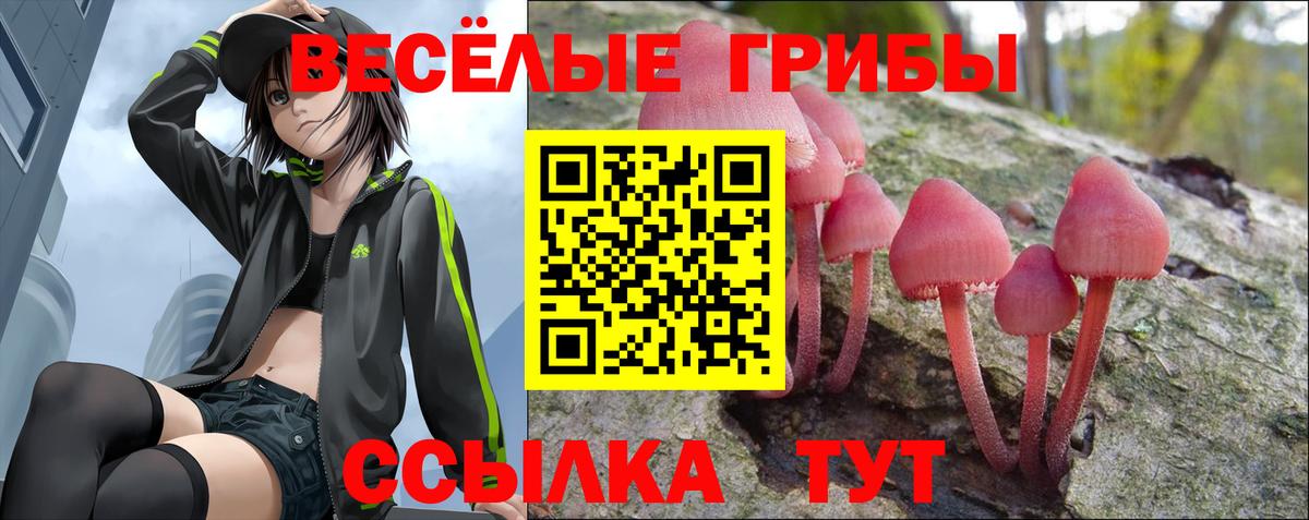 Псилоцибиновые грибы мицелий Изобильный