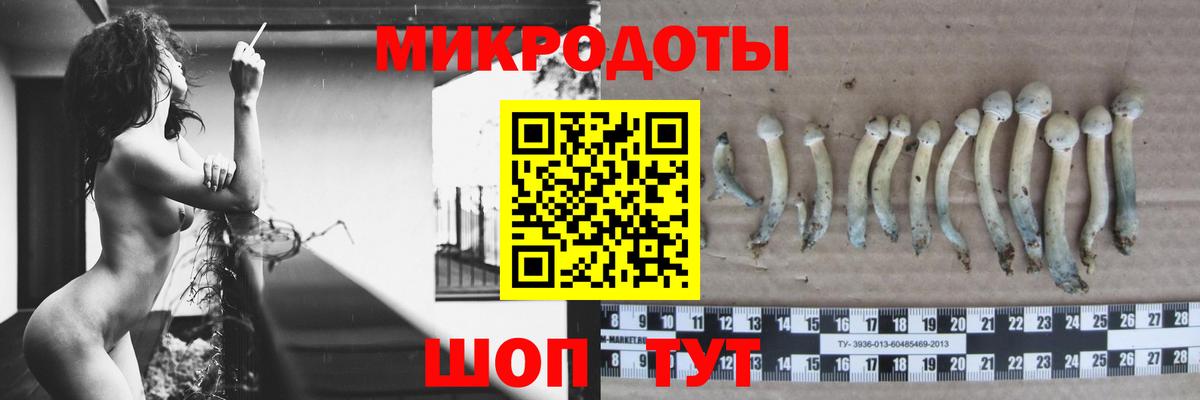 Псилоцибиновые грибы Cubensis  Вход с VPN  Изобильный 
